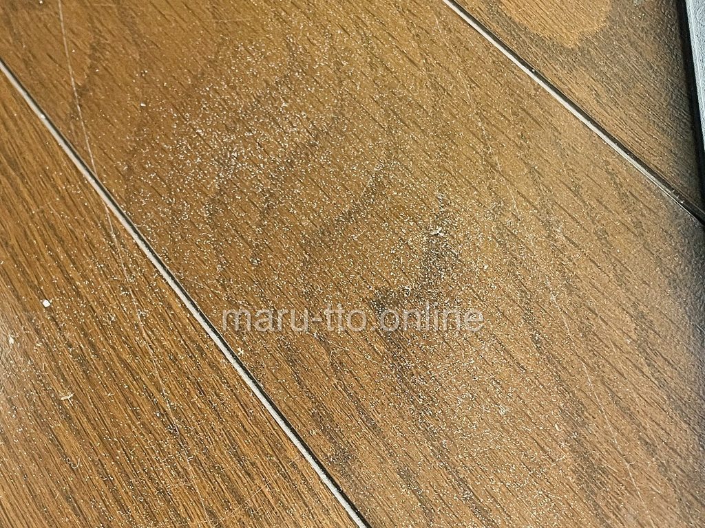 イオン化ワイヤーフレームをこすったあと、床に落ちたホコリ
